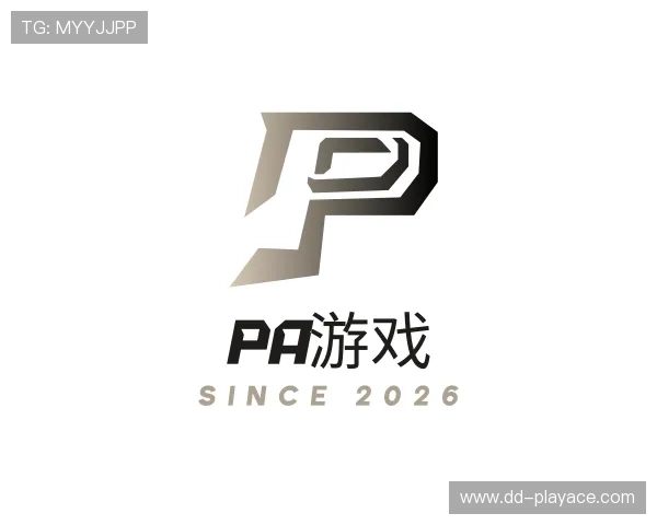 了解PA游戏